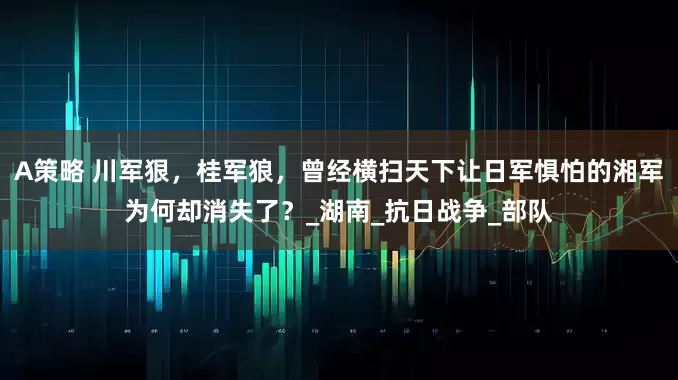 A策略 川军狠，桂军狼，曾经横扫天下让日军惧怕的湘军为何却消失了？_湖南_抗日战争_部队