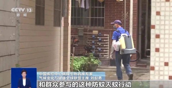 洪萨速配 已确诊超4000例！下午6点一起点蚊香真有用吗？