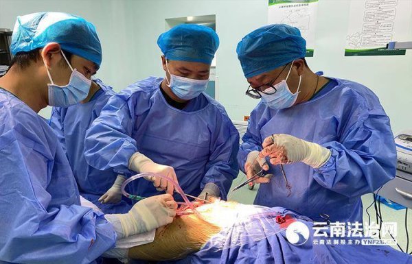 大发配资 苍洱之滨的“关节守护者”：赵永刚团队与患者的“千里奔赴”