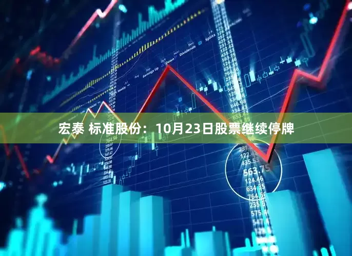 宏泰 标准股份：10月23日股票继续停牌