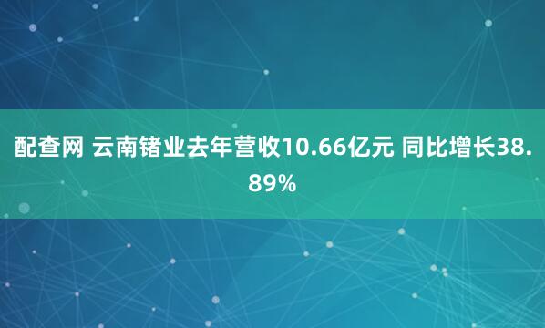 配查网 云南锗业去年营收10.66亿元 同比增长38.89%