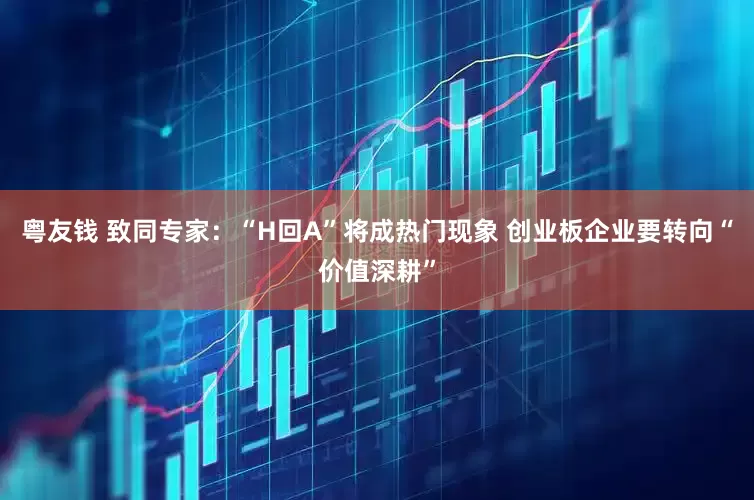 粤友钱 致同专家：“H回A”将成热门现象 创业板企业要转向“价值深耕”